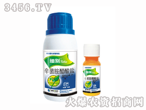 ��ِ��-���e