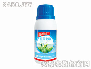 ��ِ��-���s��