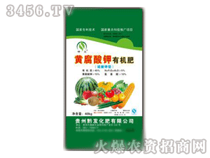 ǭ�l(f��)-�����S������ЙC(j��)��