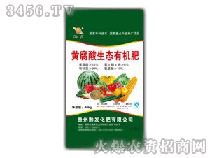 ǭ�l(f��)-�S������ЙC(j��)��