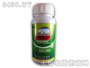 ������-�޲�ʿ