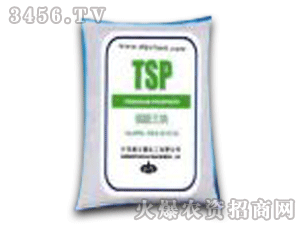 ��������-�������c��TSP��