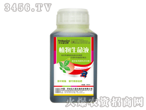 ������-ֲ������Һ