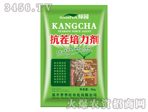 ������-����������