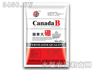 ������-���ô���