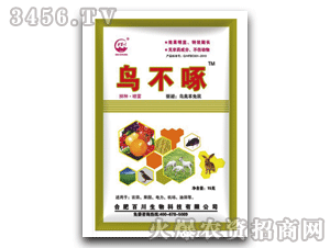 �ٴ�-�B���ć�