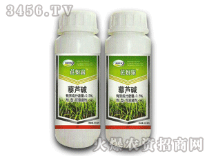 ����-����¶-0.5%޼�J�A