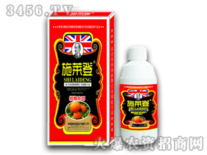 ʩ�R��-���̳ȣ�