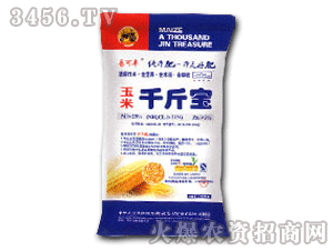 �׿��S����ǧ�