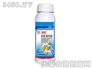 ͸��-���S������