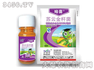 ��ϲ-�K�ƽ�U��