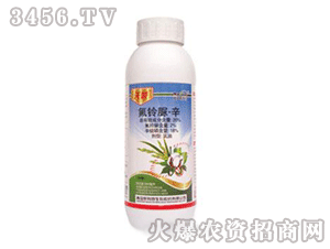 ���-�������