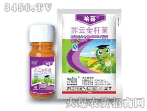 ��ϲ-�K�ƽ�U��