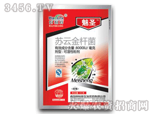 ��ʥ-15���K�ƽ�U��