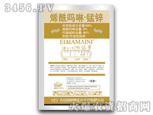 ϩ������-�i�\