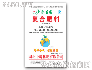 �����@16-16-16CL