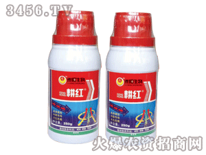 ���t�ݸ�좮������}