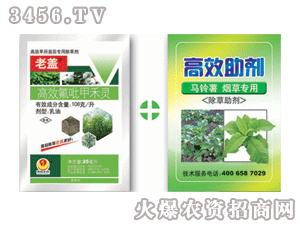 ���w+��Ч����