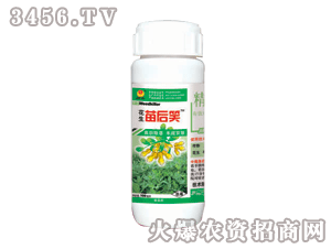 ̩�-�������Ц