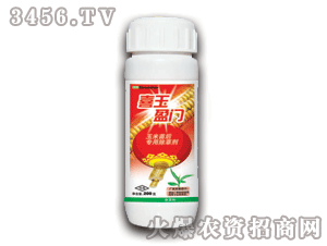 ̩�-ϲ��ӯ�T