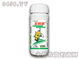 ̩�-�����