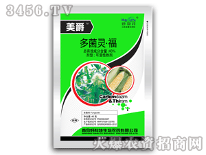 ������-����-����`��