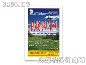 �ٴ�-�C����B��