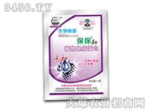 ��������-����1̖(h��o)