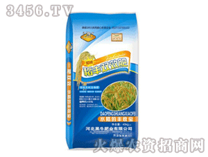 ���S�pЧ�ʣ��{����-��ţ