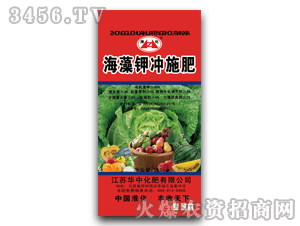 �A��-����-����⛛_ʩ��