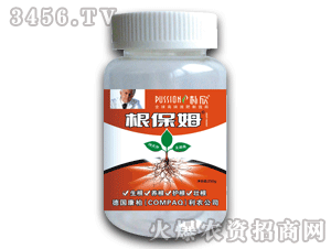 ����-����ķ