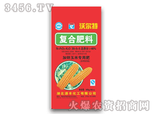 Դ�S-�֠���-��(f��)�Ϸ���30-5-5