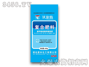 Դ�S-�֠���-��(f��)�Ϸ���24-12-12