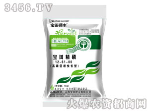 ����T�S-���ﾫ��12-61-00