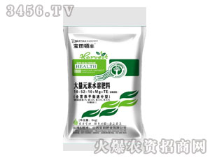 ����T�S-����Ԫ��ˮ�ܷ���10-52-10+Mg+TE