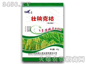 ���-�����˿�