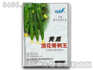 �G��-�S��픻�������