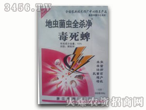 ������-���x���x��ȫ��