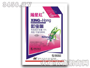 10%���x��-��Ǽt