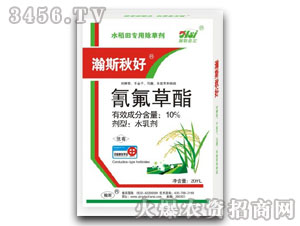 10%�������-�˹���