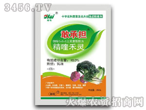 10.0%��୺��`-�ҳГ�(d��n)