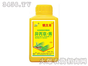 42%������ݬ-�����S