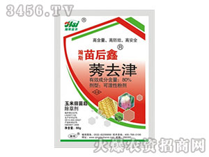 48%ݬȥ��-�˹�����