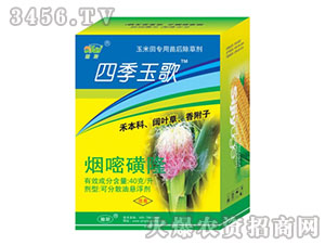 40g/�����׻�¡-�ļ����