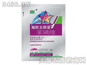 10%����¡-�˹���w��