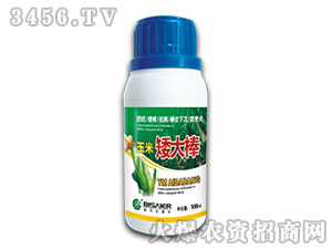 �����{(di��o)��(ji��)��-�����