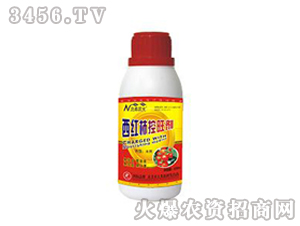 ���t��������-�����r(n��ng)��