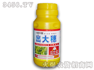 С�������{(di��o)��(ji��)��-������-�����r(n��ng)��