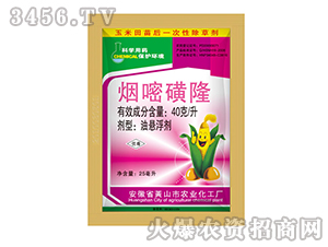 40��/�����׻�¡-�{���r�I(y��)