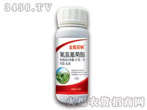 50��/�����������-ȫ�ܰ٘�-��������